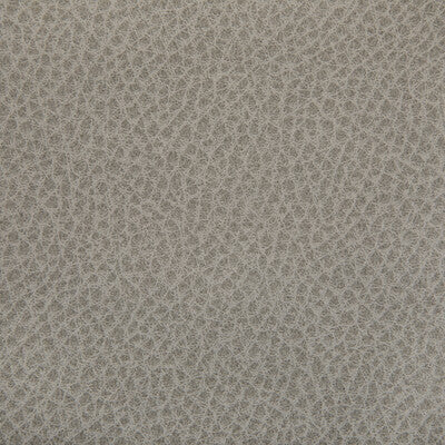WOOLF-11 WOOLF PORCINI KRAVET CONTRACT UPHOLSTERY