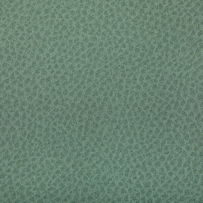 WOOLF-130 WOOLF JULEP KRAVET CONTRACT UPHOLSTERY