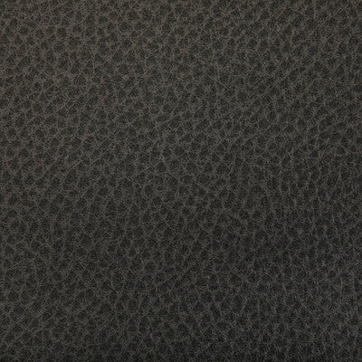 WOOLF-52 WOOLF JAVA KRAVET CONTRACT UPHOLSTERY