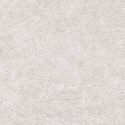 WPW1122-WT ENDURING LUXE WINFIELD THYBONY Wallpaper