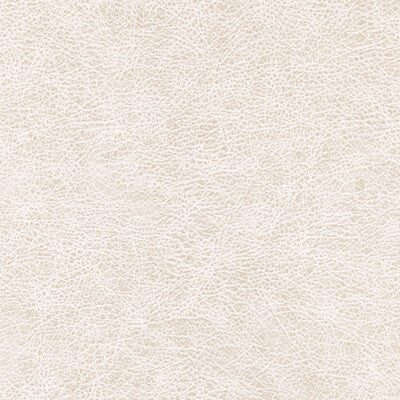 WPW1123-WT ENDURING DESERT WINFIELD THYBONY Wallpaper