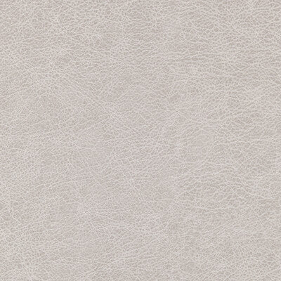 WPW1125-WT ENDURING GRAIN WINFIELD THYBONY Wallpaper