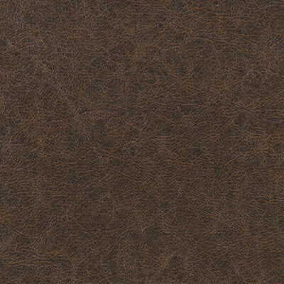 WPW1133-WT ENDURING CHESTNUT WINFIELD THYBONY Wallpaper