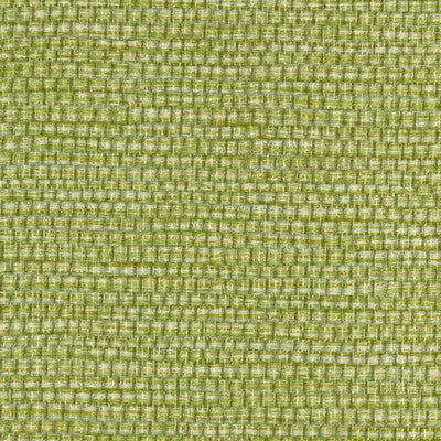 WPW1146-WT PANAMA ENVY WINFIELD THYBONY Wallpaper
