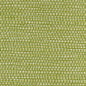 WPW1146-WT PANAMA ENVY WINFIELD THYBONY Wallpaper