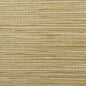 WPW1291-WT KRAUSS MADRAS WINFIELD THYBONY Wallpaper