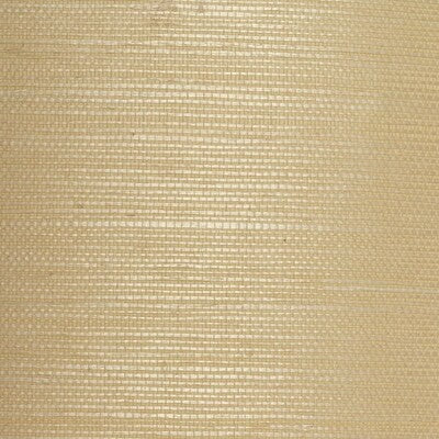 WSE1255-WT WINFIELD THYBONY WSE1255-WT WINFIELD THYBONY Wallpaper