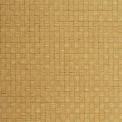 WSE1271-WT WINFIELD THYBONY WSE1271-WT WINFIELD THYBONY Wallpaper
