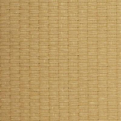 WSE1279-WT WINFIELD THYBONY WSE1279-WT WINFIELD THYBONY Wallpaper