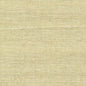 WSS4508-WT SISAL PUMICE WINFIELD THYBONY Wallpaper