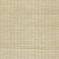 WSS4510-WT METALLIC SISAL SILVERY BEIGE WINFIELD THYBONY Wallpaper