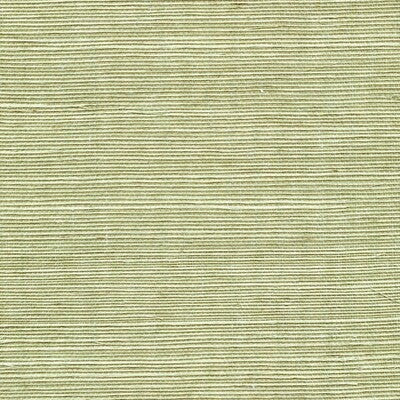 WSS4531-WT SISAL FERN WINFIELD THYBONY Wallpaper