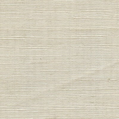 WSS4551-WT METALLIC SISAL SEAFOAM WINFIELD THYBONY Wallpaper
