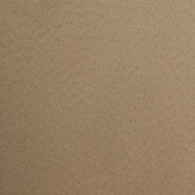 WTE6032-WT DOVERA BUFFALO WINFIELD THYBONY Wallpaper