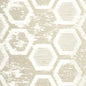 WTE6099-WT SEFANIA DAFFODIL WINFIELD THYBONY Wallpaper