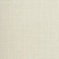 WTE6704-WT DIAMANTE NUTSHELL WINFIELD THYBONY Wallpaper