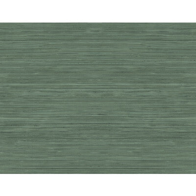 WTK15328-WT GRASSCLOTH TEXTURE GREEN WINFIELD THYBONY Wallpaper