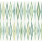 WTK20004-WT BOWFIN LIMEADE WINFIELD THYBONY Wallpaper