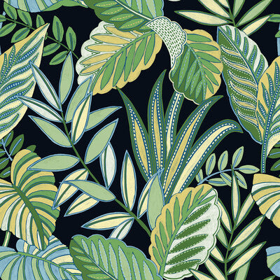 WTK20802-WT KEY HAVEN RAINFOREST WINFIELD THYBONY Wallpaper
