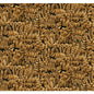 WTK21006-WT TAMARIND SOLA WINFIELD THYBONY Wallpaper