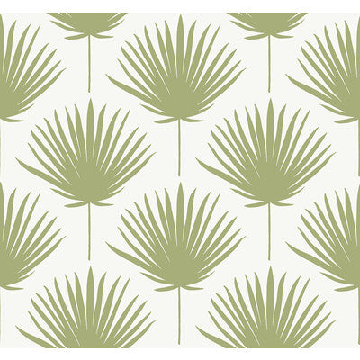 WTK21204-WT SHORE FRONT AVOCADO WINFIELD THYBONY Wallpaper