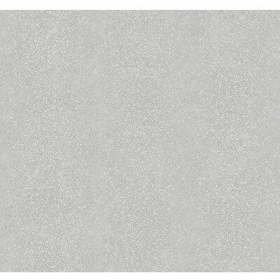 WTP4008-WT RAY COASTAL FOG WINFIELD THYBONY Wallpaper
