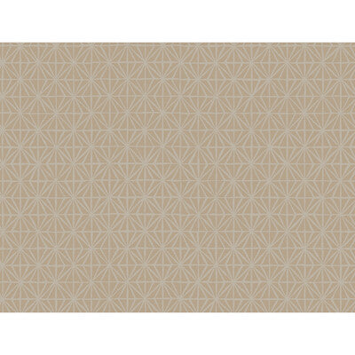 WTP4048-WT SEGUE SATIN BRASS WINFIELD THYBONY Wallpaper