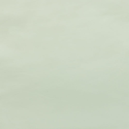 Wesley Spring Matte,Plain Aqua & Teal Charlotte Fabrics Genuine Leather