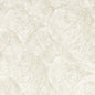 ZW0209/02-CAC SILVAN GILVER WP CLARKE AND CLARKE Wallpaper