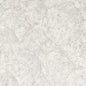 ZW0209/04-CAC SILVAN PUTTY WP CLARKE AND CLARKE Wallpaper