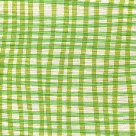 AC105-4LC COUNTRY CHECK Jungle Green on Tint Quadrille Fabric