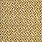AC200-06 KELLS II Brown / Camel on Tint Quadrille Fabric