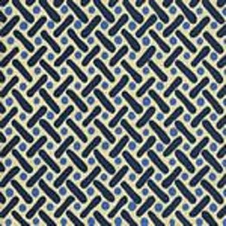 AC200-09 KELLS II French Blue / Navy on Tint Quadrille Fabric