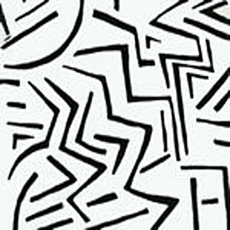 AC204-21 LASCAUX Black on White Quadrille Fabric