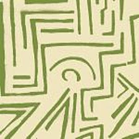 AC204-32 LASCAUX Avacado on Tint Quadrille Fabric