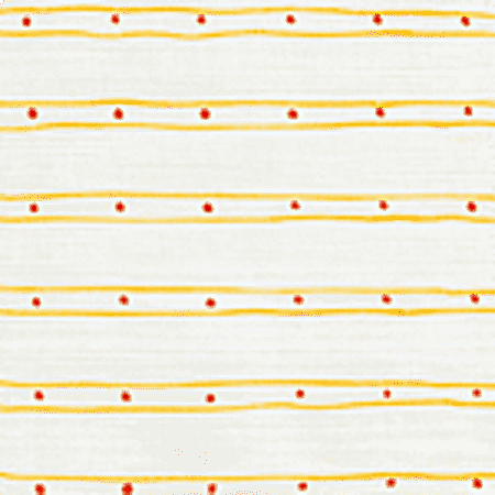 AC209-05 SOHO Inca Gold Orange on White Quadrille Fabric
