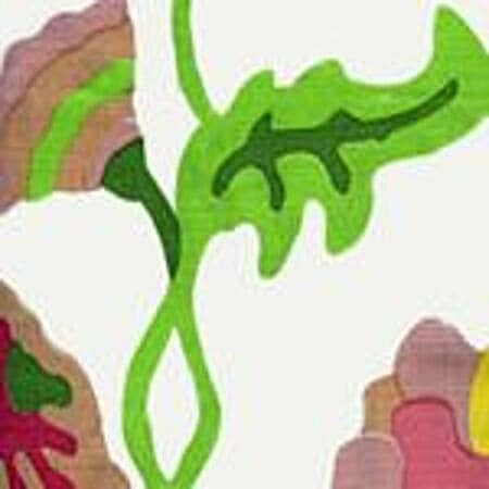 AC804-16 POTALLA Pink, Lime on White Quadrille Fabric