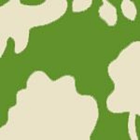 AC804B-06 POTALLA BACKGROUND Jungle Green on Tint Quadrille Fabric