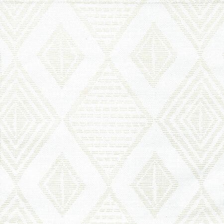 AC855-00 SAFARI White on Tint Quadrille Fabric
