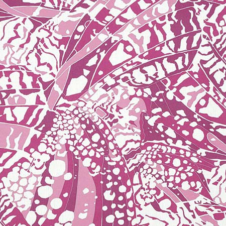 AF9861 PUCCINI Fuchsia Anna French Fabric