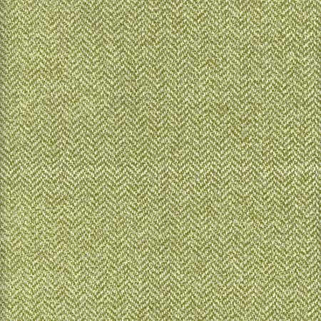 AM100329-3 NEVADA Meadow Kravet Fabric