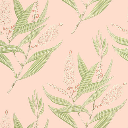 AT23132 WINTER BUD Blush Anna French Wallpaper