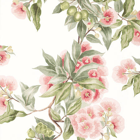 AT24550 CAMELLIA GARDEN Coral Anna French Wallpaper