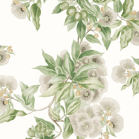 AT24551 CAMELLIA GARDEN Spring On White Anna French Wallpaper