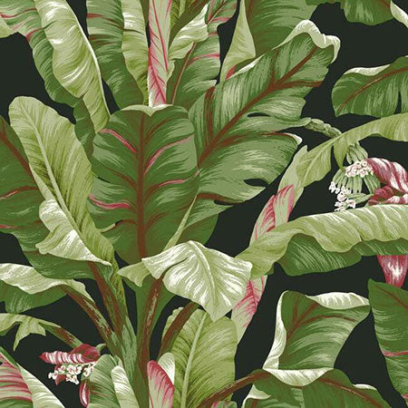 AT7071 Banana Leaf York Wallpaper