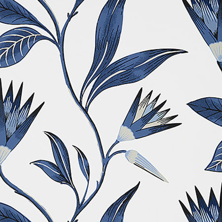 AT9621 CLEO VINE Blue And White Anna French Wallpaper
