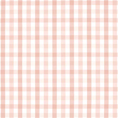 AW15148 SAYBROOK CHECK Blush Anna French Fabric