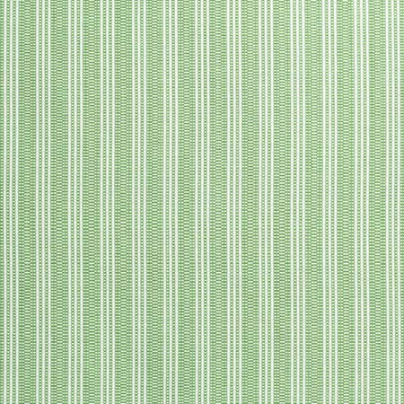 AW9848 REED STRIPE Green Anna French Fabric