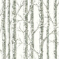 BW3901 Paper Birch York Wallpaper