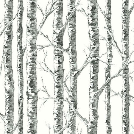 BW3902 Paper Birch York Wallpaper